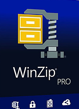 WinZip Professional