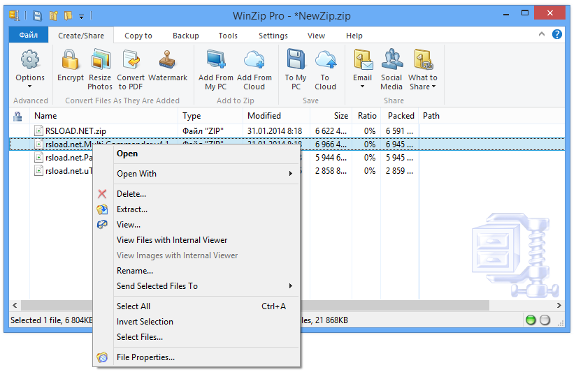 WinZip Professional windows