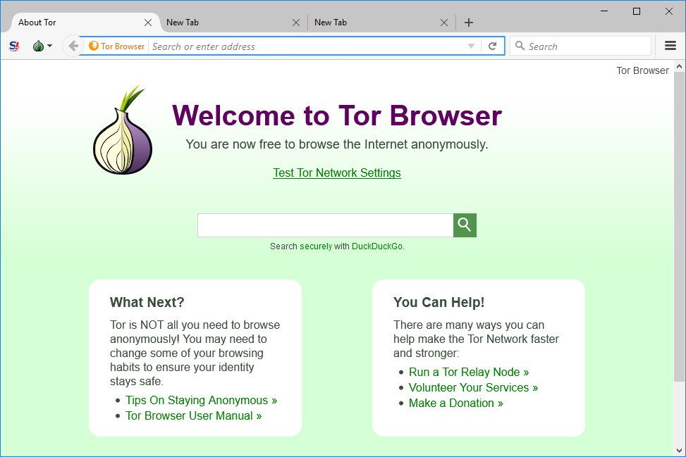 Tor Browser window
