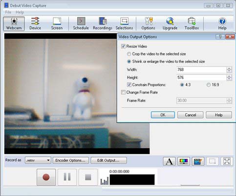 Debut Video Capture windows